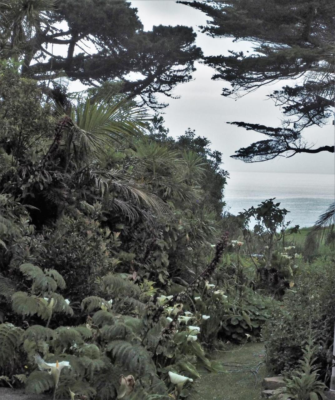 Villa Omau Retreat Cape Foulwind Exterior foto